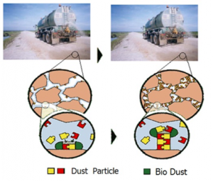 bio-dust-300x256